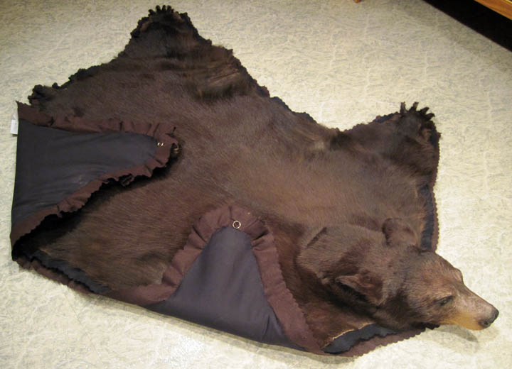 How To Hang A Bear Skin Rug On The Wall – Wall Design Ideas How To Hang A Bear Rug